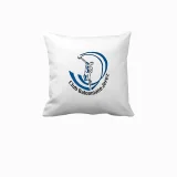 CojinBalonmano-darosportstienda